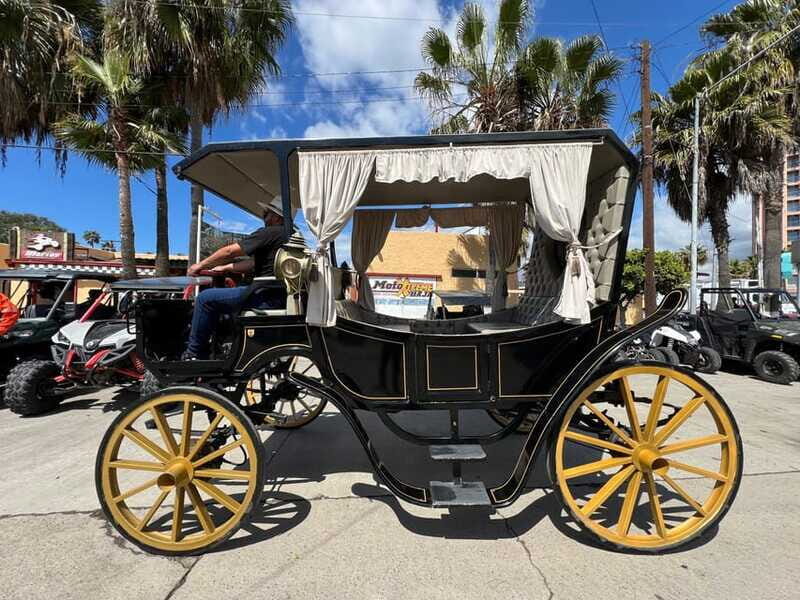 City tour on electric horse wagon. - The Sum Up