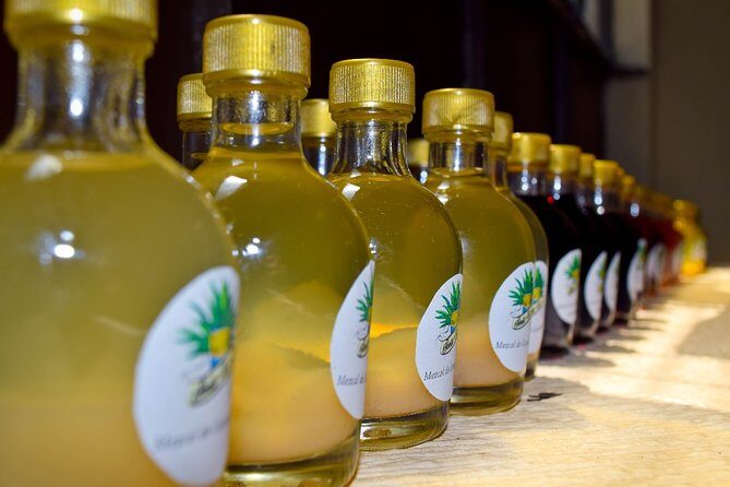 City tour Puerto Escondido - An In-Depth Look at the Puerto Escondido City Tour