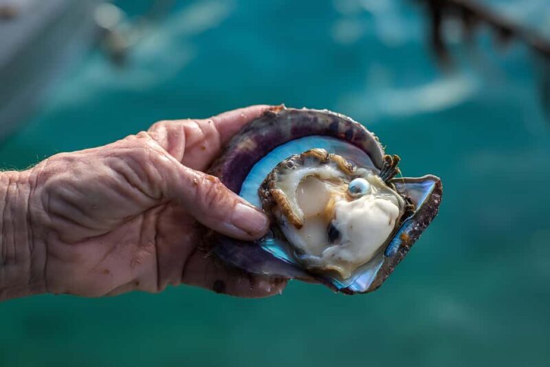 City Tour to Cabo San Lucas and Transparent boat to the Arch - Key Points