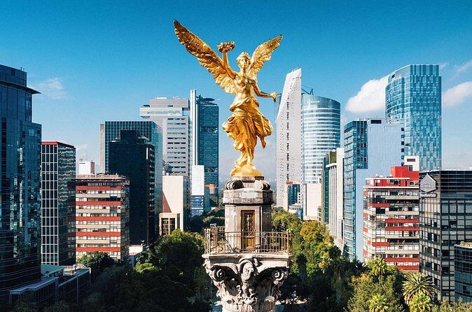 City Tour with Xochimilco and Coyoacan Tour - What Do the Reviews Say?