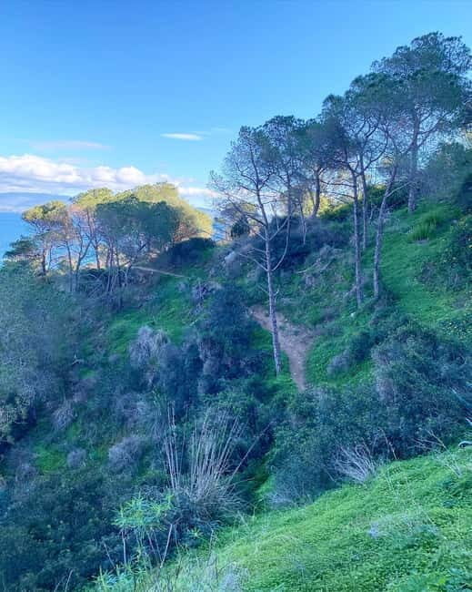 CITYBIKE/ easy Classic FOR 24 hours with Free delivery! - The Practical Side: Pricing, Group Size, and Additional Info