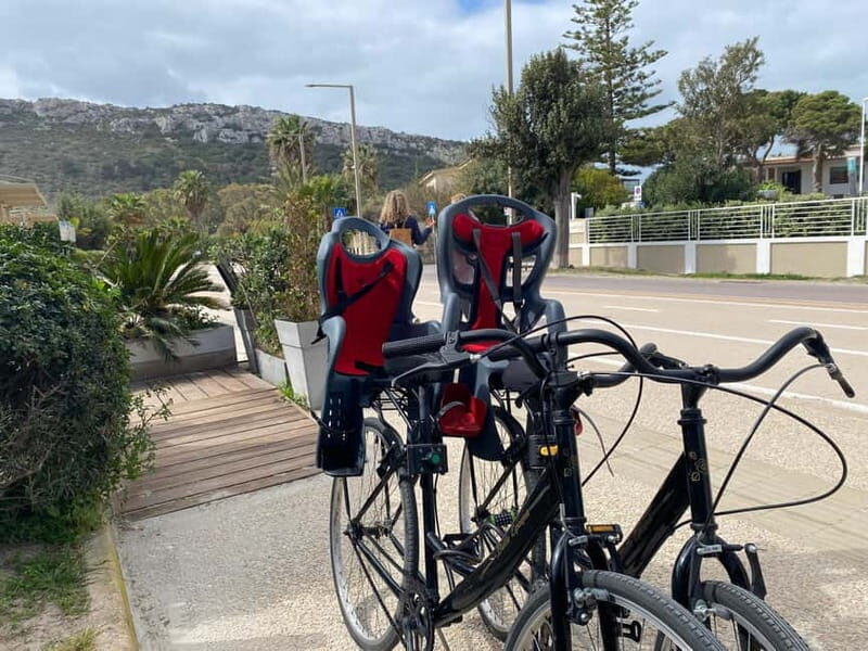 CITYBIKE/ easy Classic FOR 24 hours with Free delivery! - Who Should Consider This Rental?