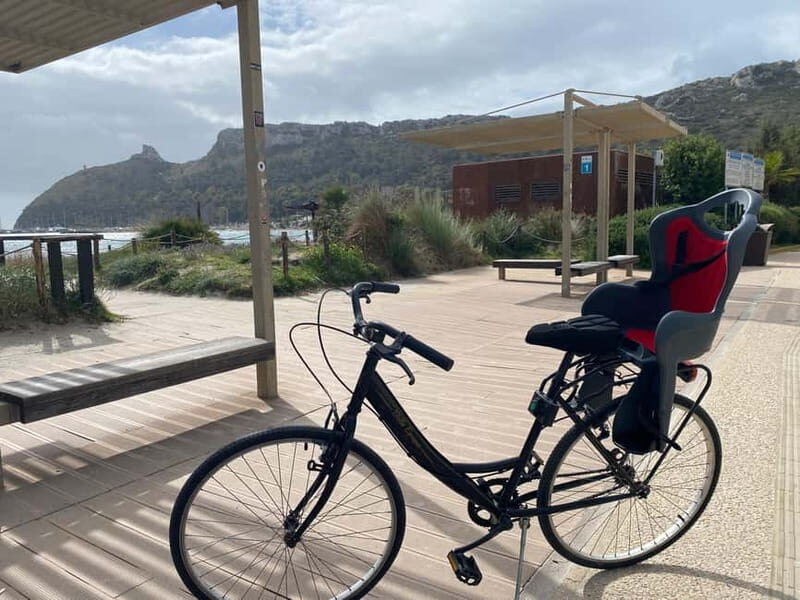 CITYBIKE/ easy Classic FOR 24 hours with Free delivery! - Final Thoughts