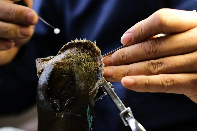 CityTour in Cabo San Lucas and Transparent Boat Tour to the Arch - Deep Dive Into the Itinerary