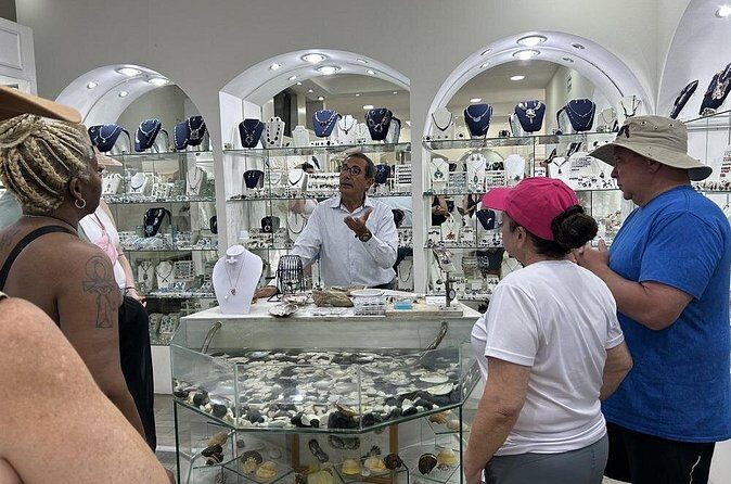 CityTour in Cabo San Lucas and Transparent Boat Tour to the Arch - Practical Details & Tips