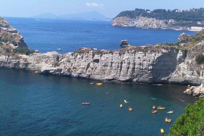 Classic Boat Tour of Naples Bay - Key Points