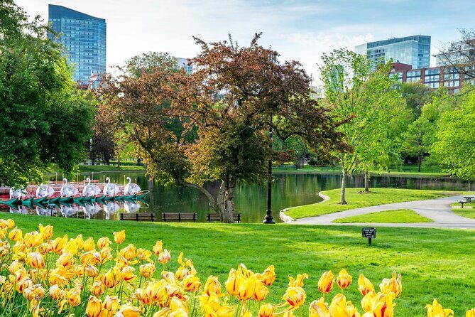 Classic Film and Television Locations Half Day Tour in Boston - What to Expect from the Tour