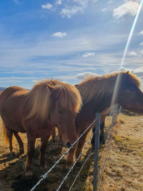 Classic Golden Circle - Full Day Private Tour from Reykjavik - The Cost – Is It Good Value?