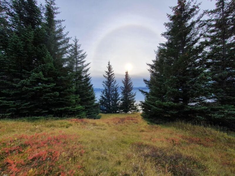 Classic Golden Circle - Full Day Private Tour from Reykjavik - FAQ