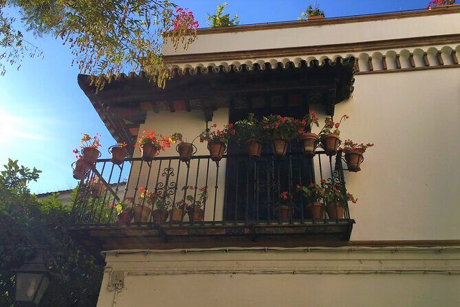 Classic Private Tour of Seville - Who Should Consider This Tour?