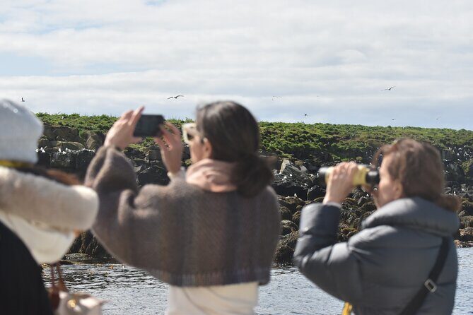 Classic Puffin Watching Cruise from Downtown Reykjavík - An Honest Look at the Puffin Watching Experience