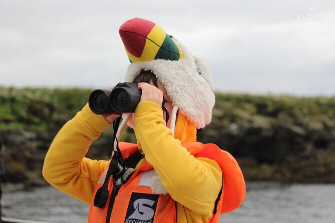 Classic Puffin Watching Cruise from Downtown Reykjavík - Final Thoughts