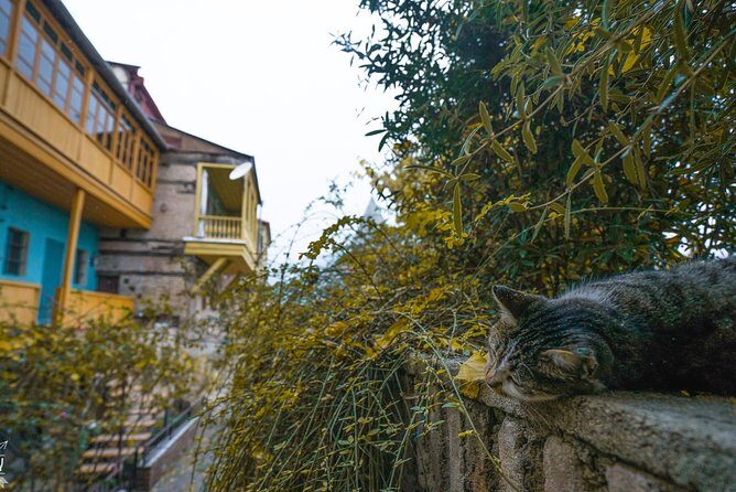 Classic Tbilisi Walking Tour - Key Points