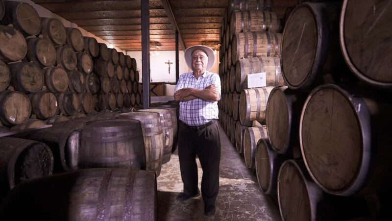 Classic Tequila Route Tour from Guadalajara and cantaritos el GÜERO!!! - The Itinerary Breakdown: What to Expect