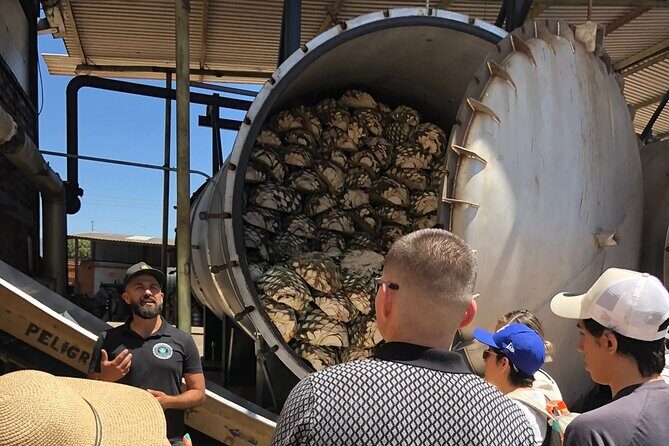 Classic Tequila Tour and CANTARITOS EL GÜERO - Who Should Consider This Tour?