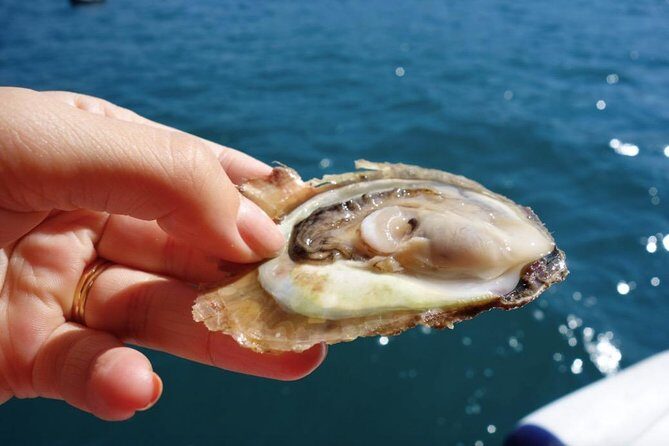 Classic Tour with Wine Tastings from Dubrovnik - The Experience: What You Can Expect