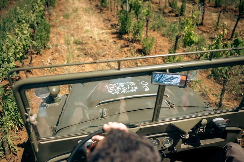 Classic: Tuscan Vineyard Old Jeep Tour, Wine Tasting & Lunch - What to Expect from the Tour