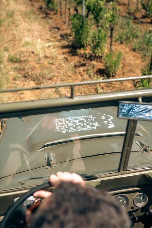 Classic: Tuscan Vineyard Old Jeep Tour, Wine Tasting & Lunch - Who Should Consider This Tour?