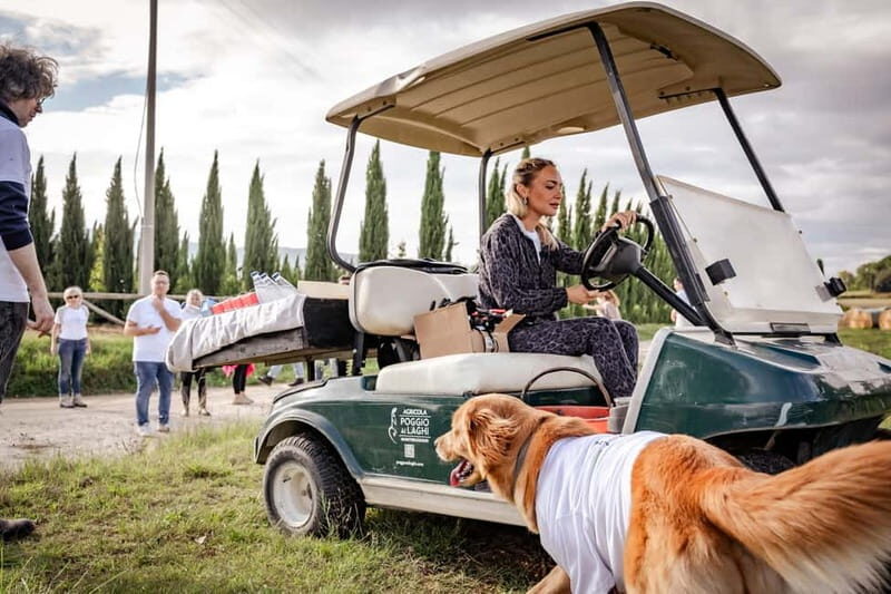 Classic: Vineyard Golf Cart Tour & Wine Tasting and Lunch - A Closer Look at the Experience