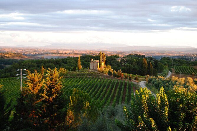 "CLASSIC" Wine Tasting and Typical Tuscan Products - The Value and Practicalities