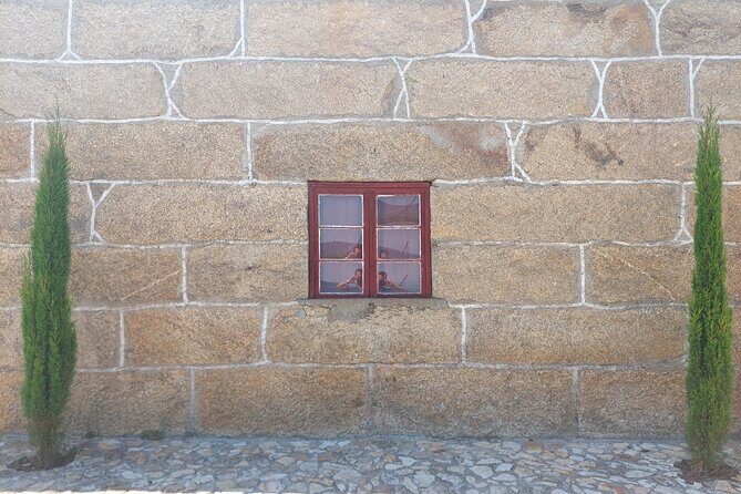 Classic Wine Tasting with GUIDED TOUR - Real Experiences and Feedback