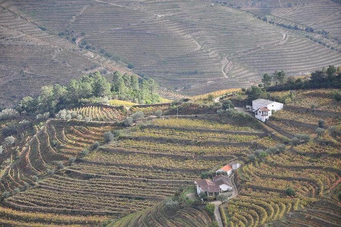 Classic Wine Tasting with GUIDED TOUR - FAQ