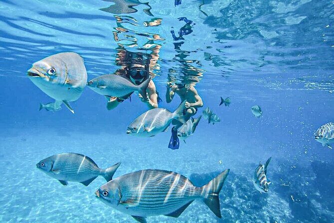 Clear Boat at Cozumel Island! Round Transportation From Playa Del Carmen - Final Thoughts