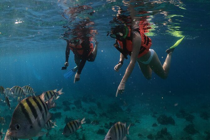 Clear Boat & Snorkel Cozumel Tour with Drinks - What to Expect from the Tour
