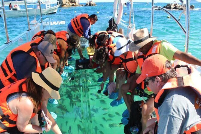 Clear Boat Tour in Cabo San Lucas - What to Expect from the Clear Boat Tour in Cabo