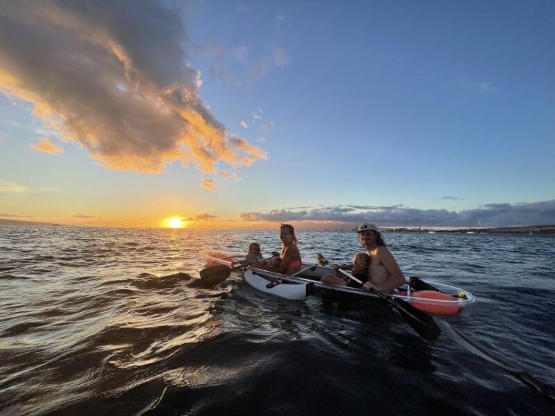 Clear Bottom Glassy Kayak Rental | Safe and Stable Kayaks - Who Is This Tour Best For?