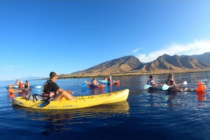 Clear Bottom Kayak and Snorkel Experience at Turtle Reef Olowalu - What to Expect from the Tour