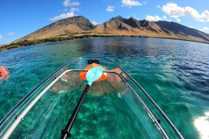 Clear Bottom Kayak and Snorkel Experience at Turtle Reef Olowalu - Who Is This Tour Best For?