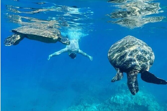 Clear Bottom Kayak and Snorkel Experience at Turtle Reef Olowalu - FAQs