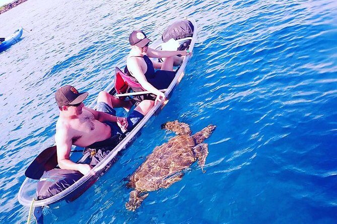 Clear Bottom Kayak and Snorkel Tour at Turtle Town, Makena - The Practical Details