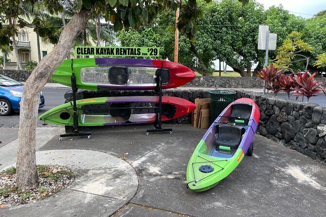 Clear Bottom Kayak Rentals in Kailua-Kona - What to Expect from Clear Bottom Kayak Rentals in Kailua-Kona