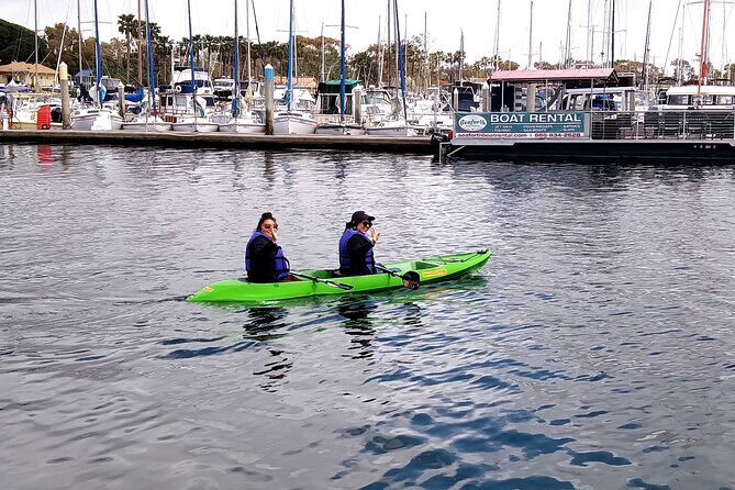 Clear Bottomed Kayak Rentals in San Diego - The Experience: A Closer Look
