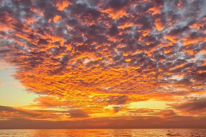 Clear Bottomed Kayak Rentals in San Diego - Practical Details You Should Know