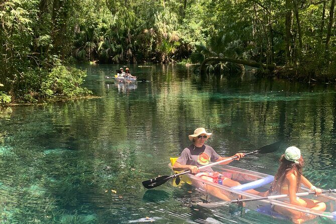 Clear Canoeing and Wildlife Sightseeing at Silver Springs - Visualizing the Experience