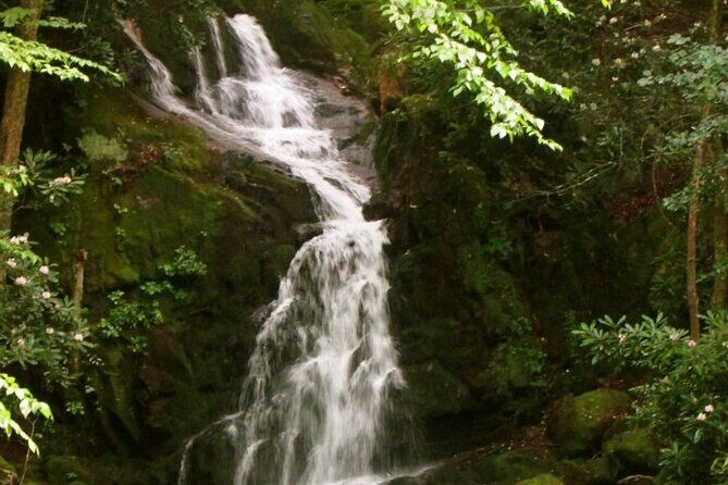 Clear Creek Falls Hike - What You Can Expect from the Clear Creek Falls Hike