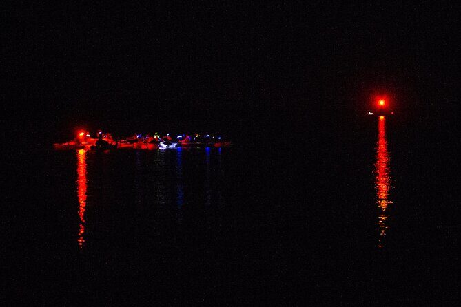 Clear Kayak Bioluminescence Tour - Cocoa Beach - The Sum Up