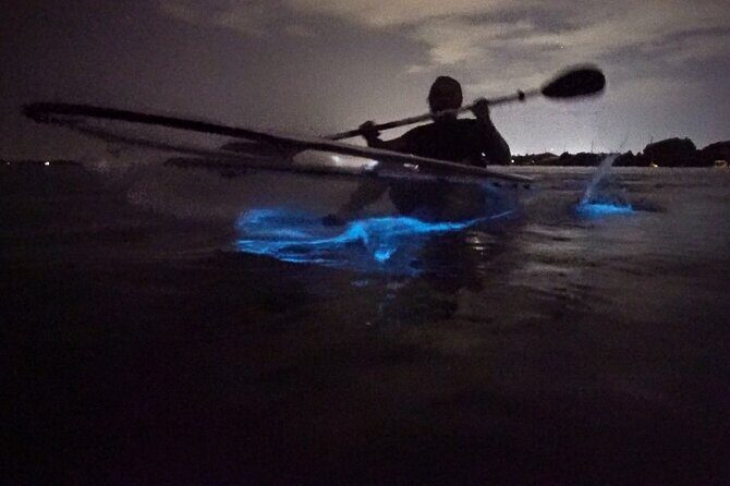 Clear Kayak Bioluminescence Tour - Discover the Magic of the Clear Kayak Bioluminescence Tour