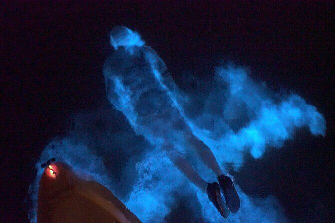 Clear Kayak Bioluminescence Tour - Who Should Consider This Tour?