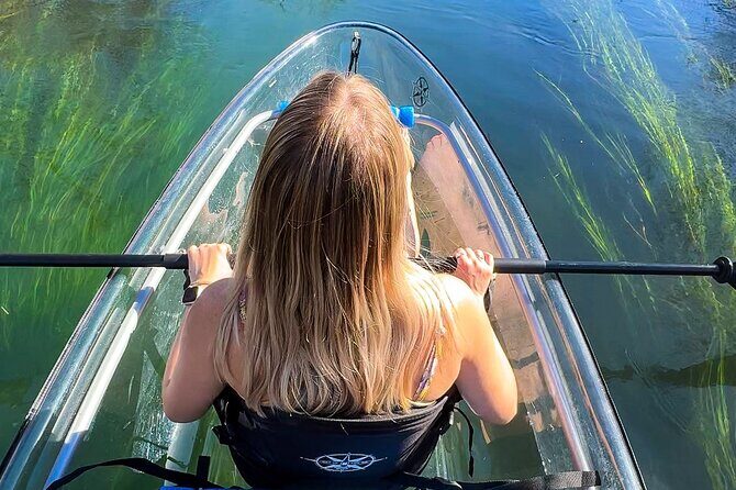 Clear Kayak Day Adventure Tour in San Marcos - The Highlights of the Tour