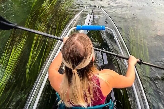 Clear Kayak Day Adventure Tour in San Marcos - The Pros and Cons