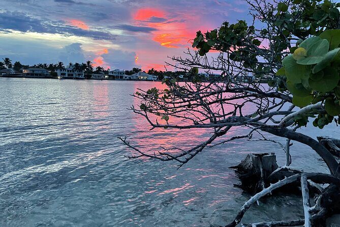 Clear Kayak Eco Tour in Jupiter, Florida - What You’ll See and Experience