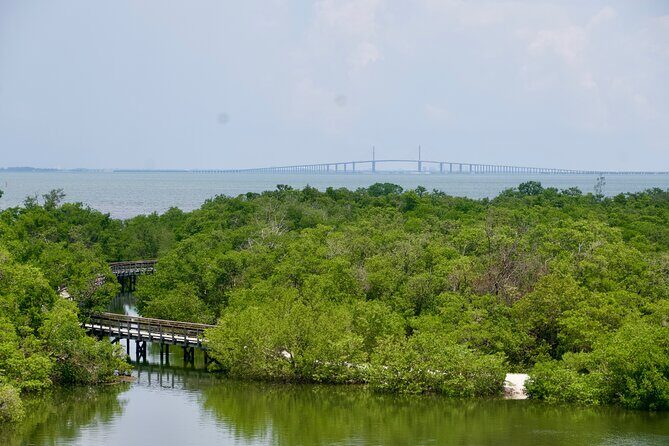 Clear Kayak Ecotour at Robinson Preserve in Bradenton, Florida - Who Should Consider This Tour?