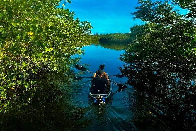 Clear Kayak Ecotour at Robinson Preserve in Bradenton, Florida - FAQ