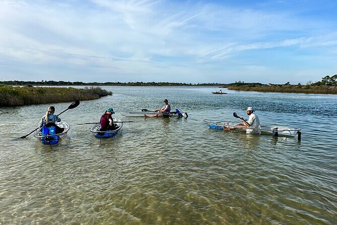 Clear Kayak Ecotour Destin Ft. Walton Beach - What Travelers Say: Honest Reviews