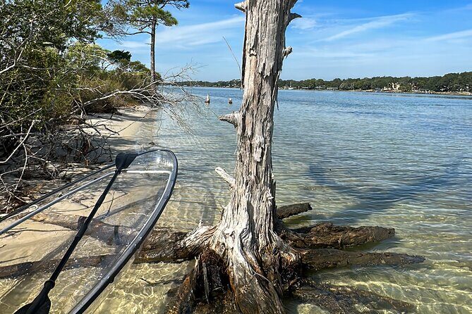 Clear Kayak Ecotour Destin Ft. Walton Beach - The Downside: Things to Consider