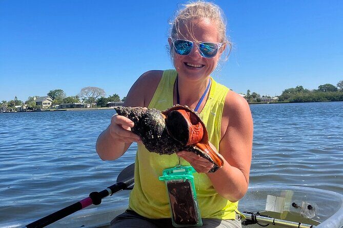 Clear Kayak Glass Bottom Day Tour - Anna Maria Island - Key Points